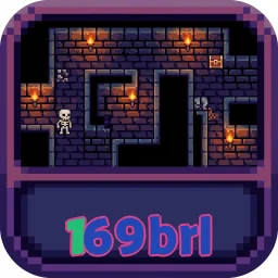169brl